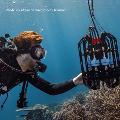 Scuba diver closely looks at Ascension eDNA sampler above a coral reel in the southwestern Australia coast