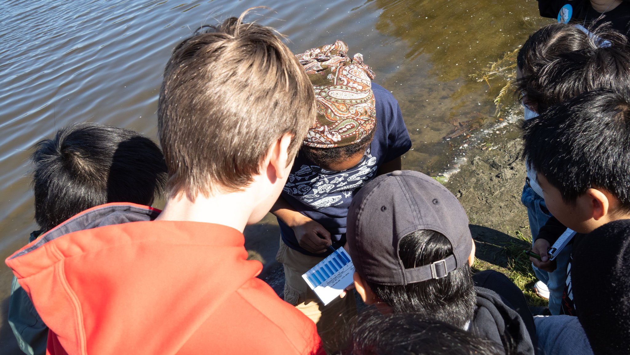 Students gather to look at pH