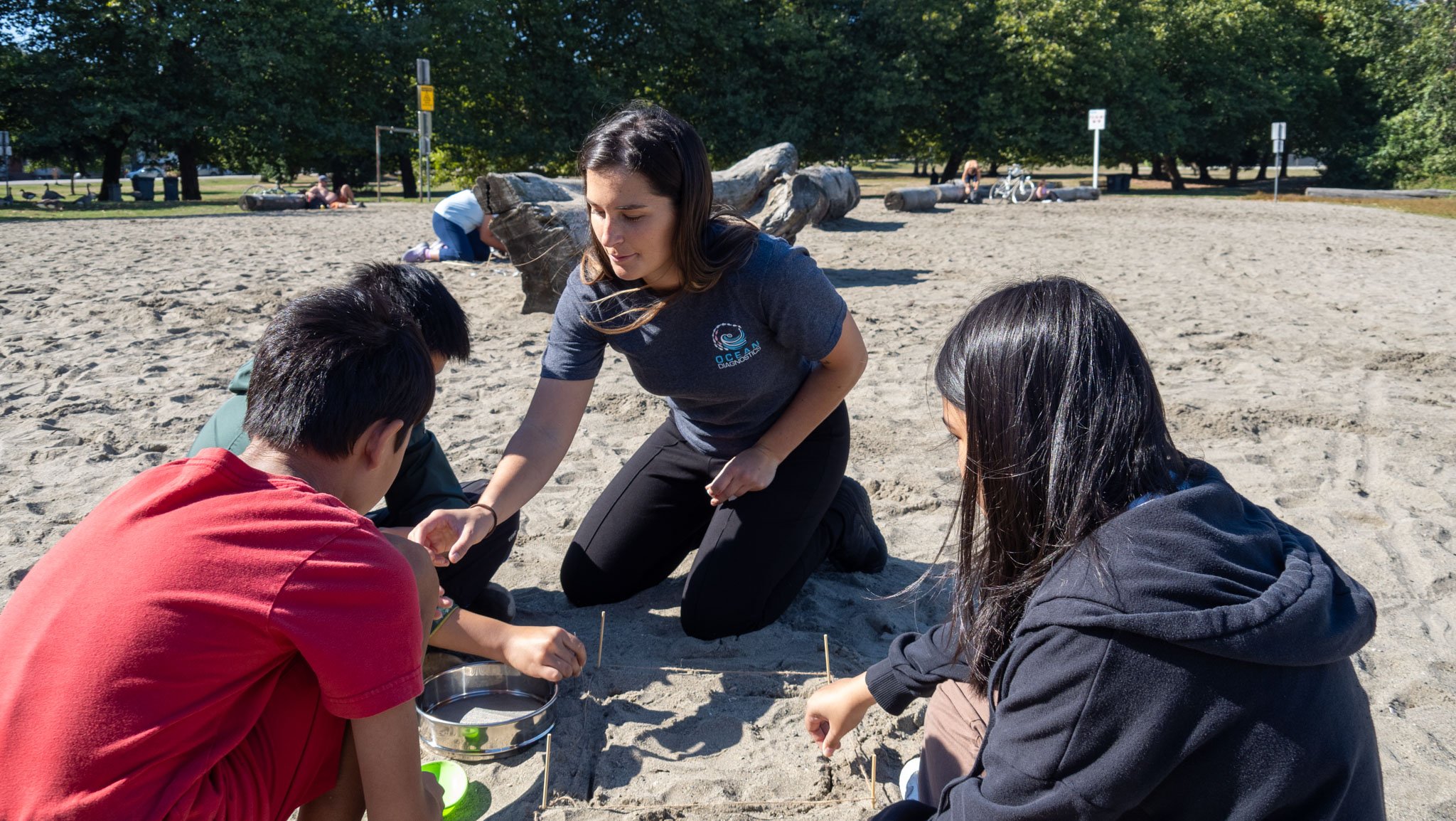 Sampling plastics in sand activity